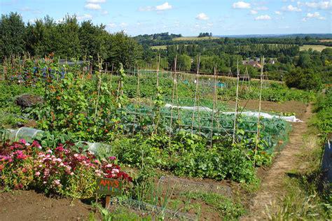 Allotments